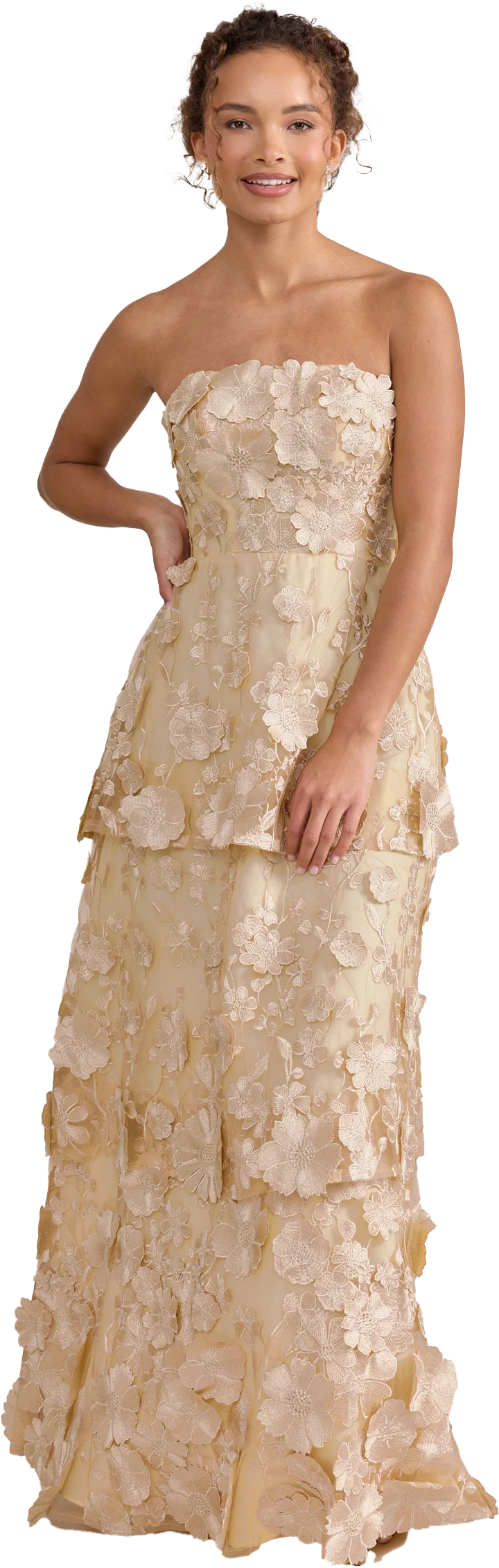 Flora Appliqué Dress | Ready To Ship | Champagne - Image 3