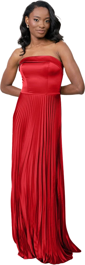 Saylor Satin Pleated Dress | Made To Order - Image 84
