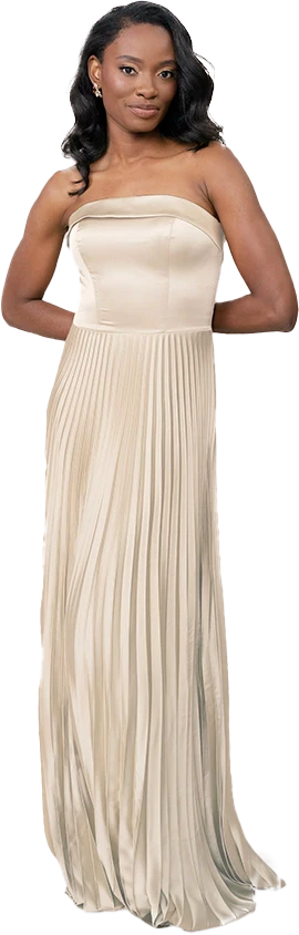 Saylor Satin Pleated Dress | Made To Order - Image 98